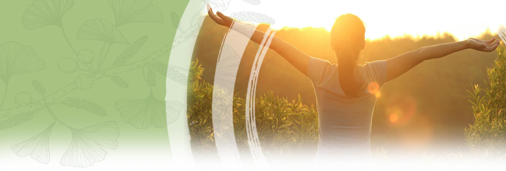 Acupunctuur - Zutphen - Anna van der Vlies - Header Acupunctuur